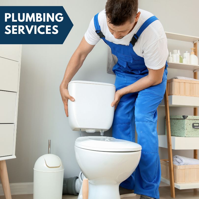 Plumbing Company in Clarendon Hills, IL
